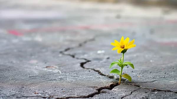 Resilienz und Stressbewältigung am Beispiel der Ukraine